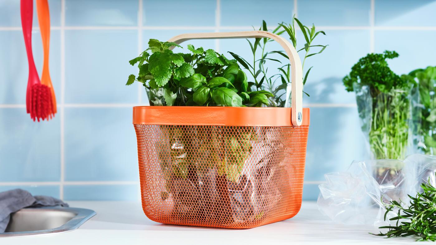 A kitchen top with green herbs inside a bright orange RISATORP basket in steel mesh with a handle made from birch veneer.