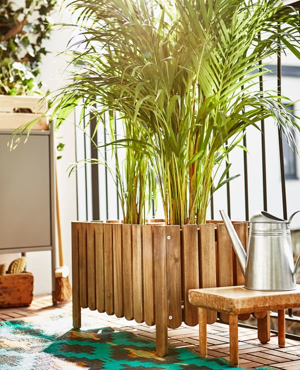 A large flower box on the balconyholds two large plants.