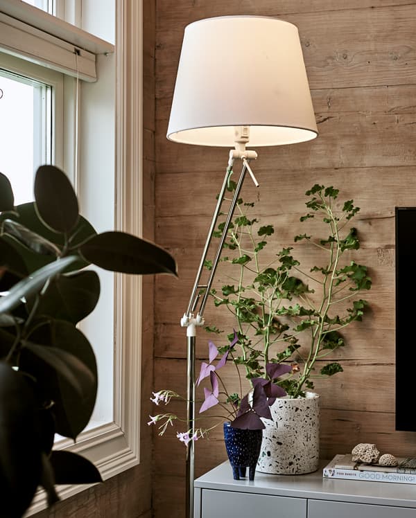 A lit floor light with white lamp shade stands next to a grey TV cabinet with Oxalis plant and books displayed on top.