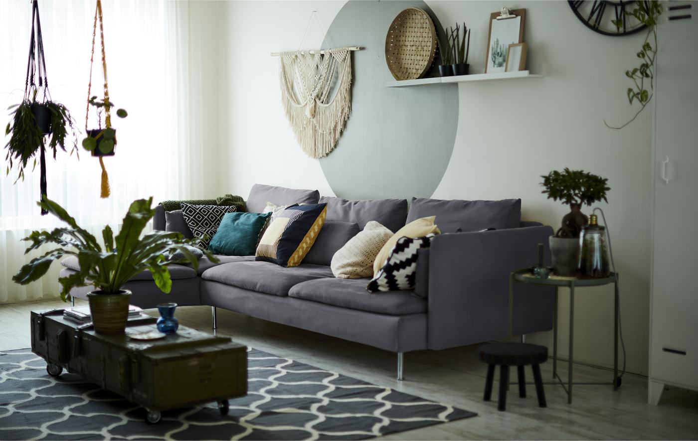 A living room with grey sofa and indoor plants.
