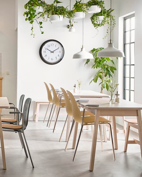 A lunchroom with white walls and floors, groups of tables and chairs in light wood, a wall clock, and plenty of green plants.