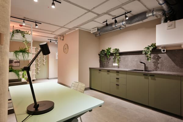 A modern co-working space with shared workstations, a minimalist kitchen area, and industrial-style lighting. Muted green cabinetry, indoor plants, and soft neutral tones create a calm and functional environment for focused work and collaboration.