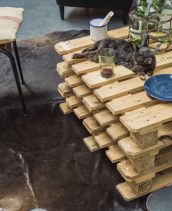 A pallet coffee table and cowhide rug.