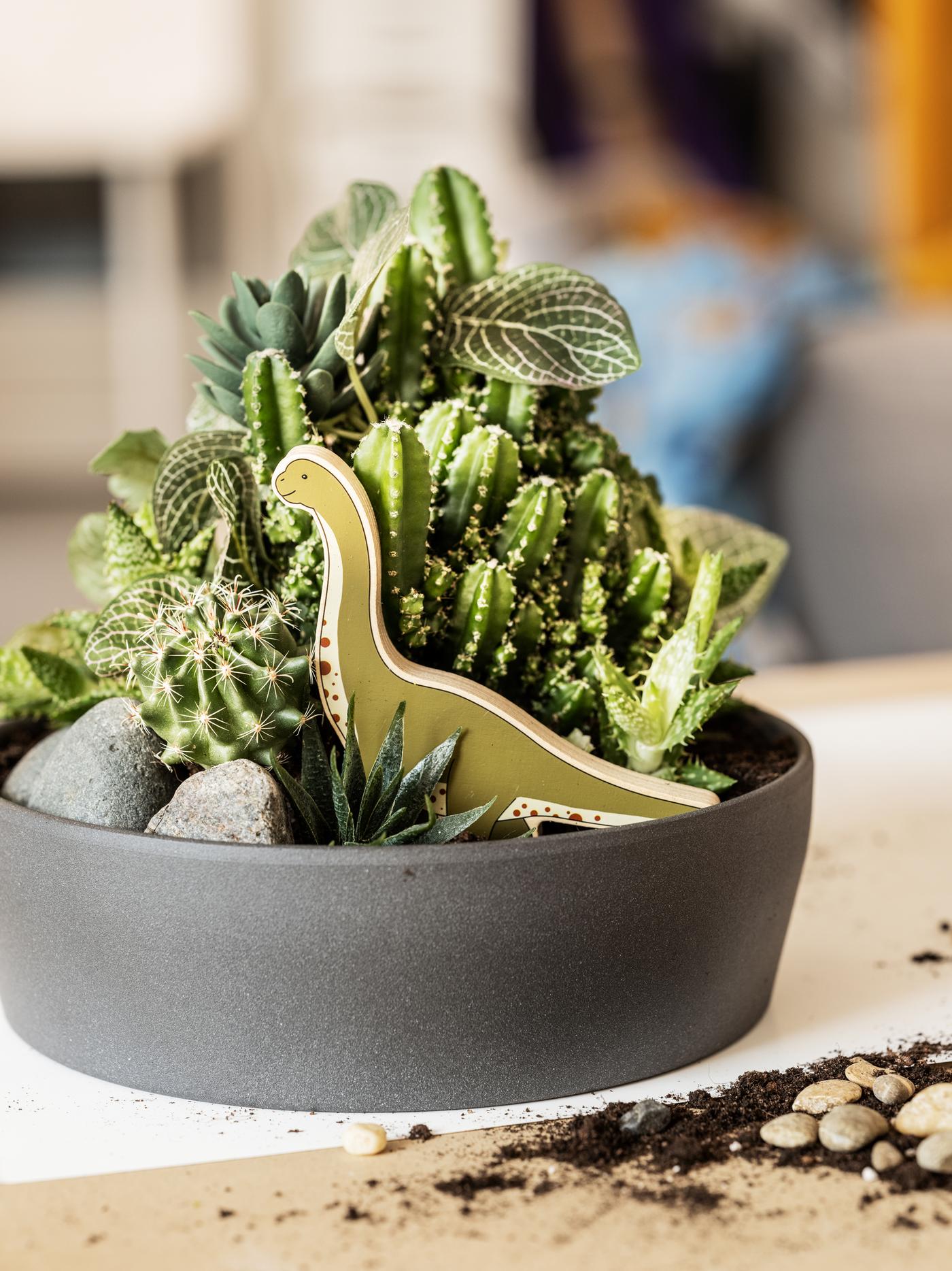 A PERSILLADE plant pot with soil, green plants and a dinosaur toy from JÄTTELIK world set on a table indoors.