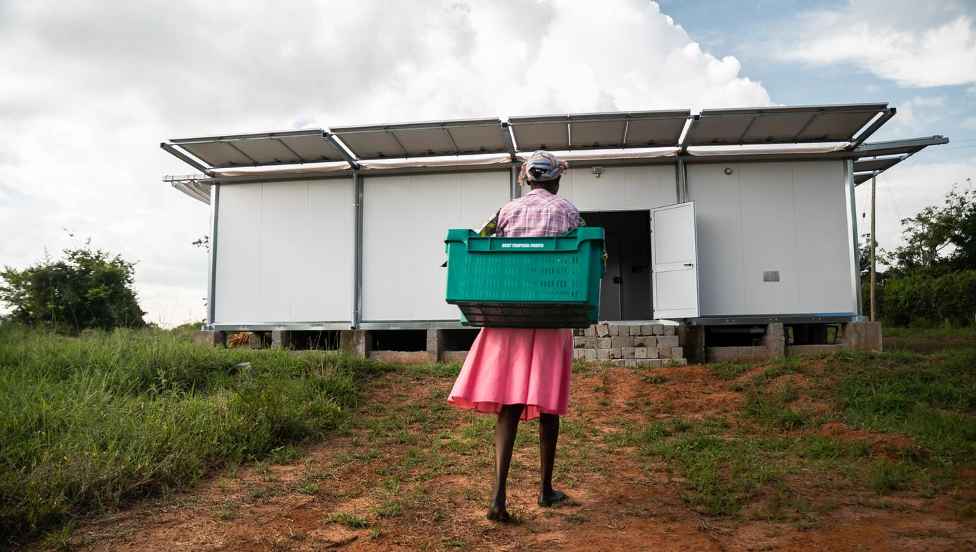 A person wearing a pink skirt and carrying a green plastic crate walks up a hill towards a white single storey building.