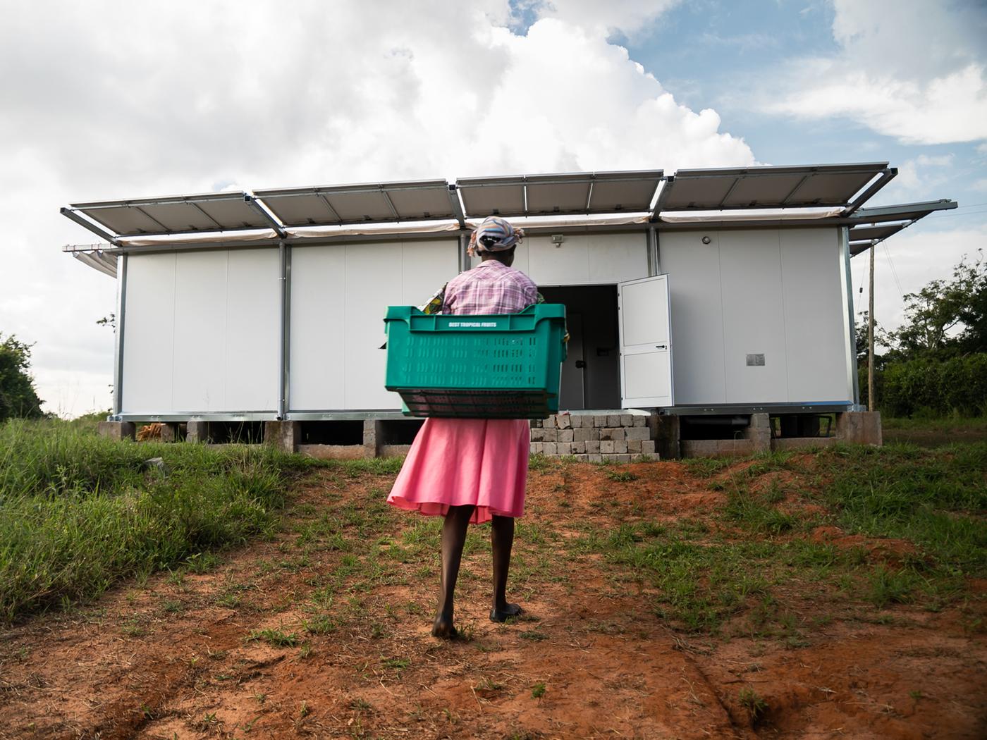 A person wearing a pink skirt and carrying a green plastic crate walks up a hill towards a white single storey building.
