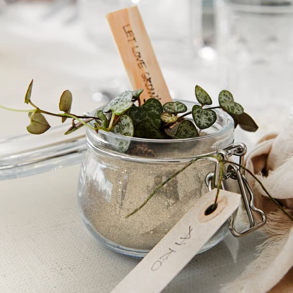 A personalised KORKEN jar used as a personalised plant pot. 