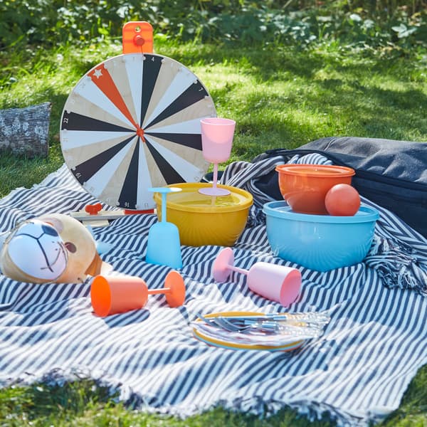 A picnic in the grass with plastic tableware and wine glasses in mixed colours.