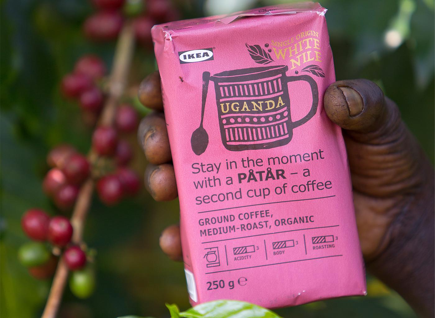 A pink package of PÅTÅR special edition 100% Arabica coffee in the hand of a coffee farmer.
