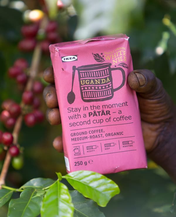 A pink package of PÅTÅR special edition single-origin, 100% Arabica coffee in the hand of a coffee farmer.