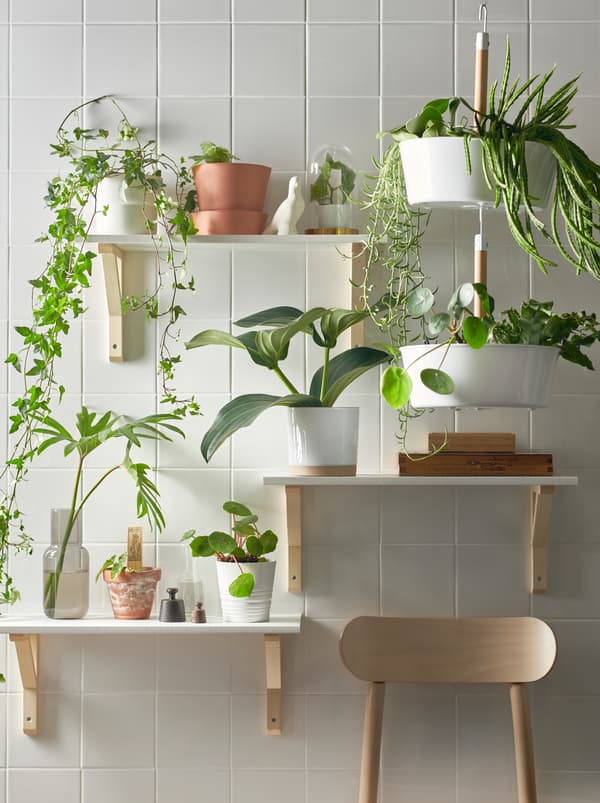 A plant wall made with three shelves on different heights and a white BITTERGURKA hanging planter filled with green plants.