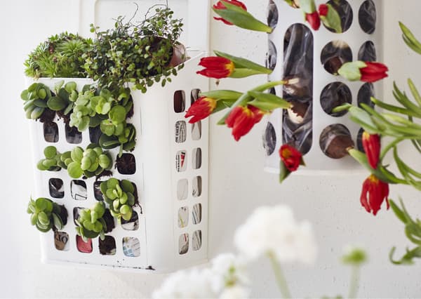 A plastic bag dispenser holding plants. 