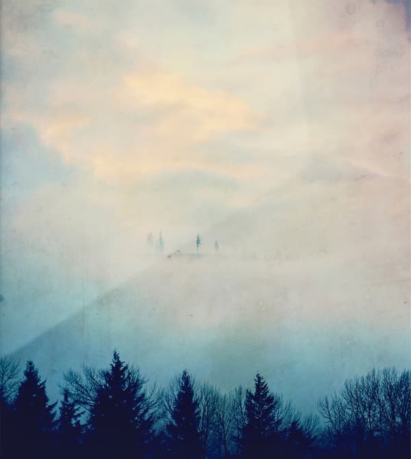 A print of a mountain in the mist and trees.