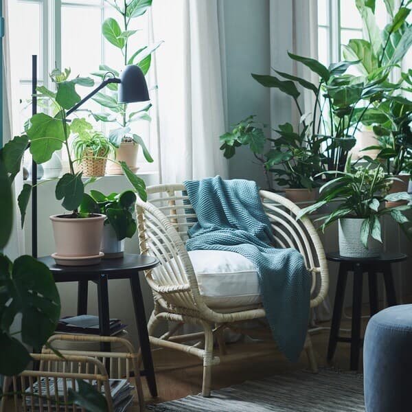 A relaxing oasis