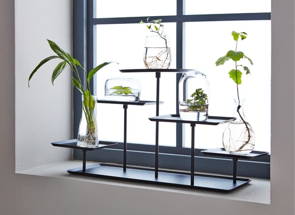 A SAMMANHANG stand can make plant cuttings just as decorative as flowers in full bloom.