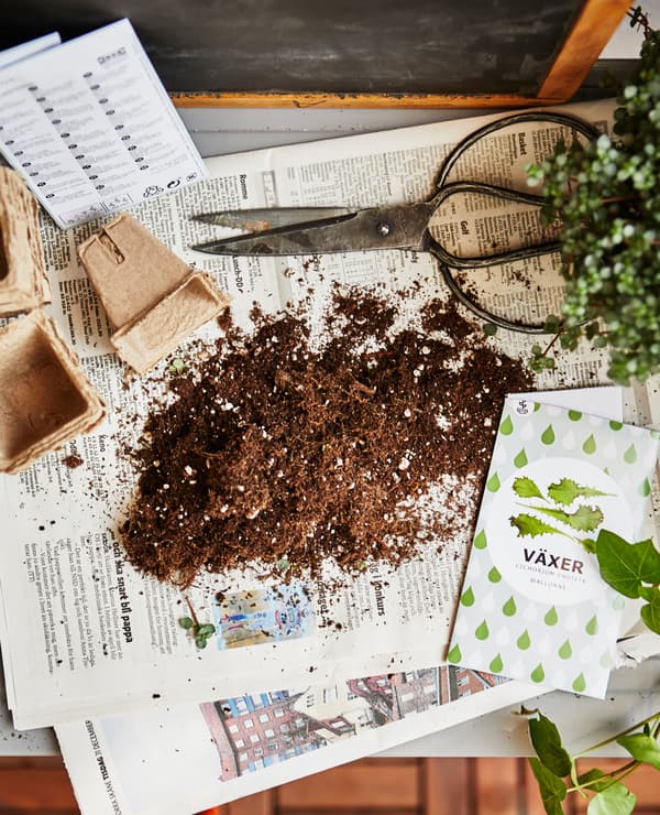 A shot from above of a gardening workspace, filled with soil and seed packets.