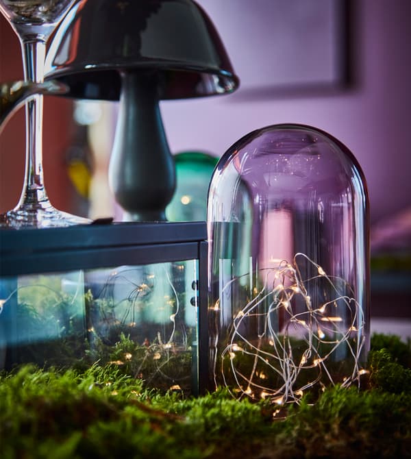 A small glass dome displays fairy lights.