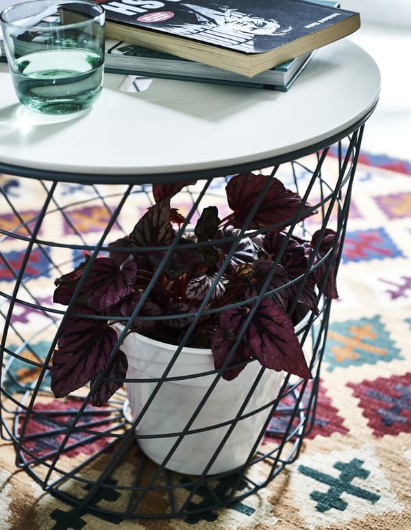 A storage table with a plant inside the base, on a patterned rug.