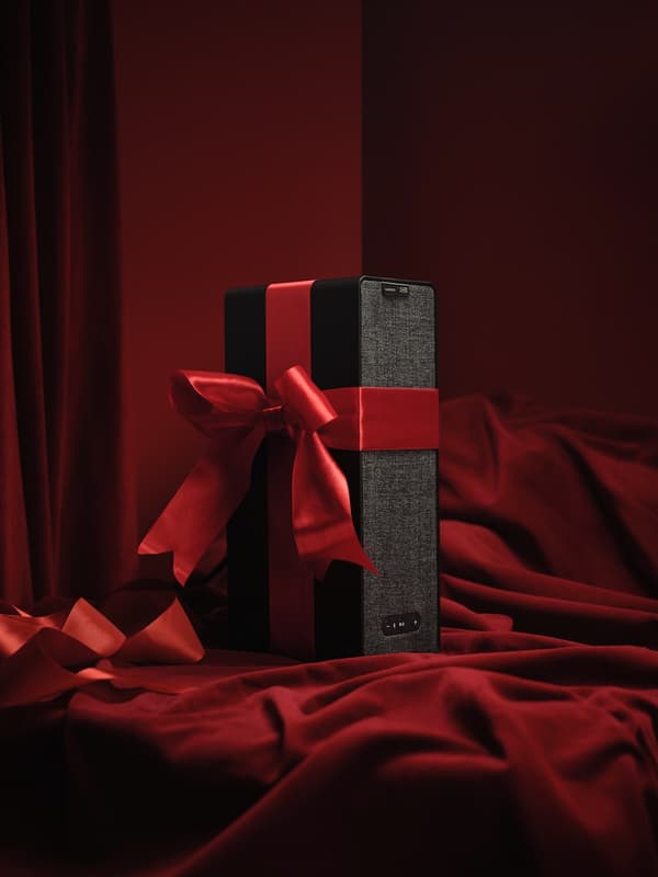 A SYMFONISK bookshelf case speaker with a red ribbon bow