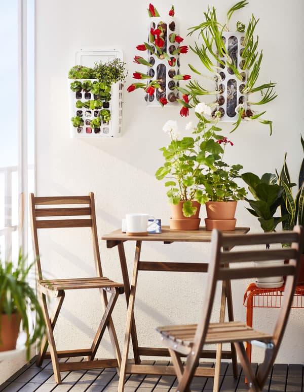 A table and chairs with plants.