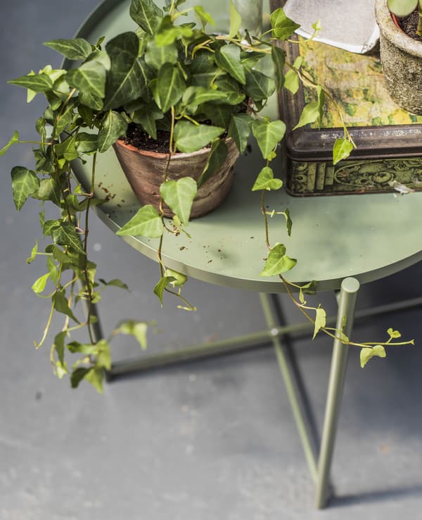 A tray table with plant and decorative accessories.