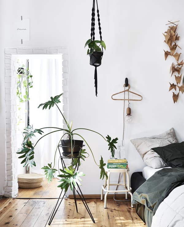A white bedroom with wooden floor and large plant on a stand.