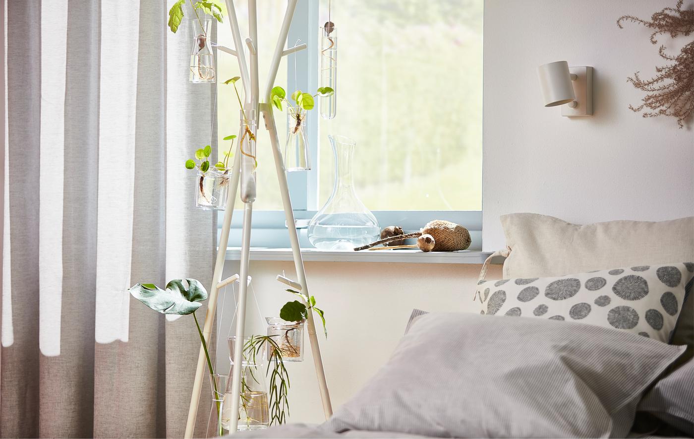 A white EKRAR hat and coat hanger is decorated with homegrown baby plants, in front of a window.