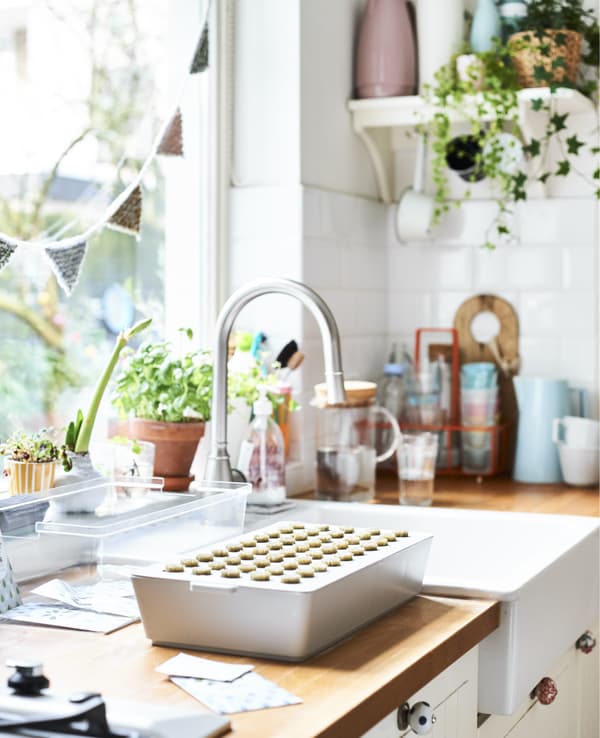 A white kitchen sink and wooden worktop with sprout box and potted plants.