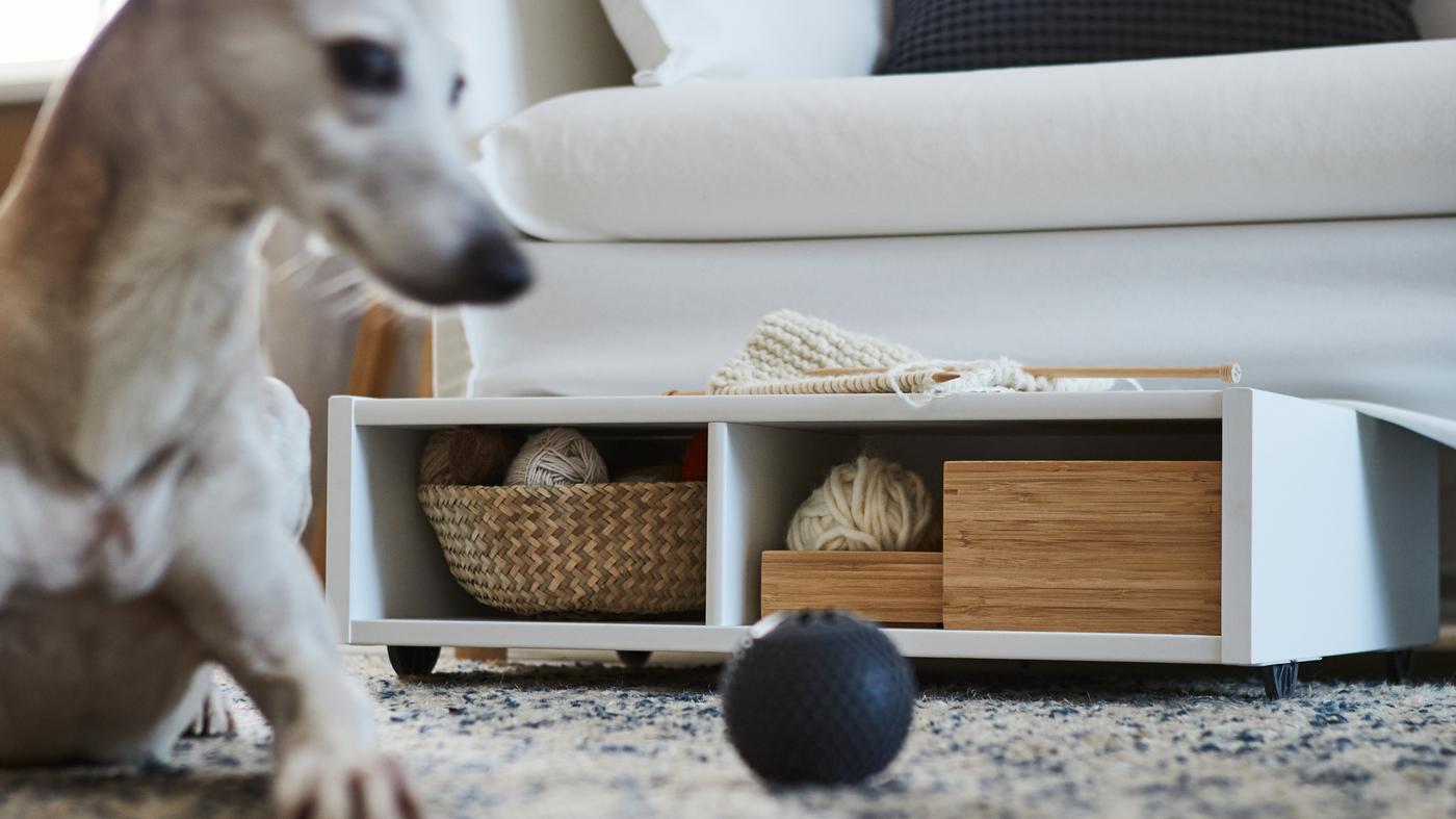A white underbed storage/bedside table with castors with boxes and a basket inside under a sofa, a rug, a dog and a ball.