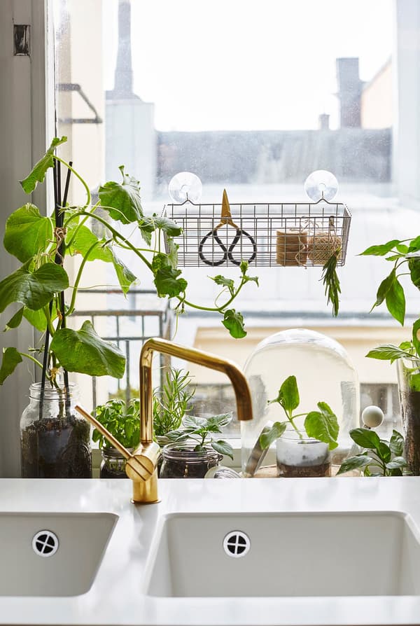 A window garden grows herbs and salad leaves directly behind the kitchen sink.