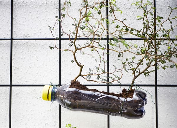 A wire trellis with plastic bottle planter.