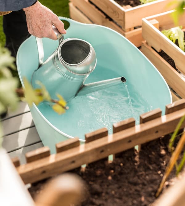 A woman fills a watering can with rainwater from the plastic tub.