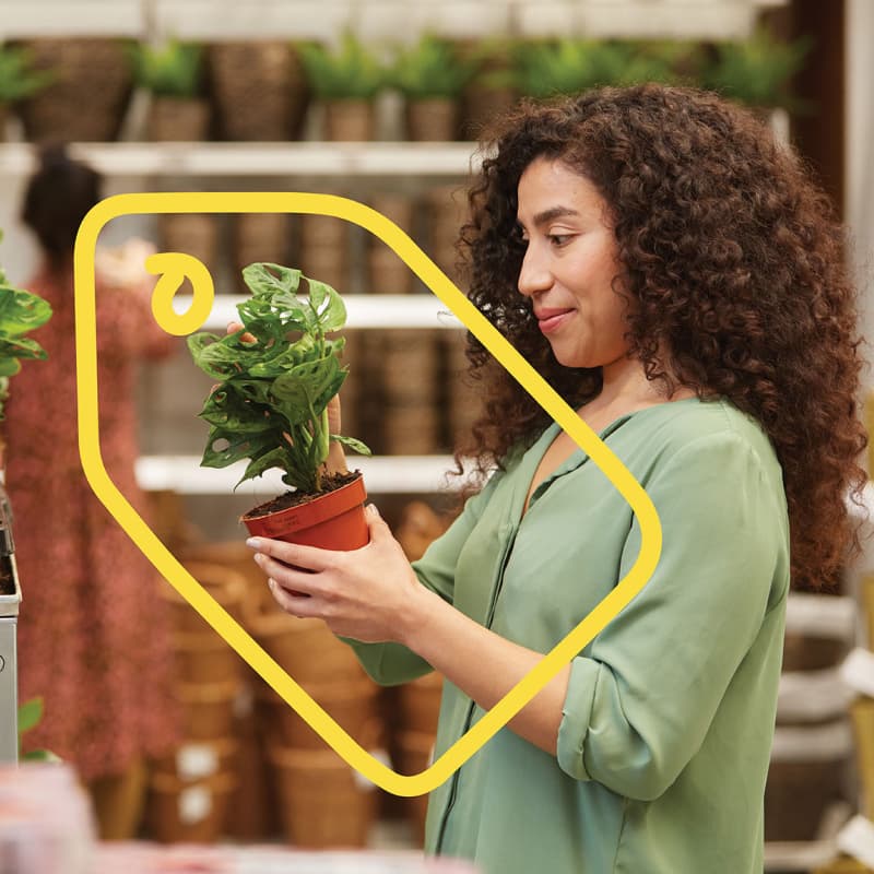 a woman is looking at a plant, one of the items included in the ikea family offer