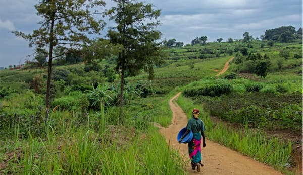 A woman with a basket walking down a long path in the middle of a green landscape in Uganda.
