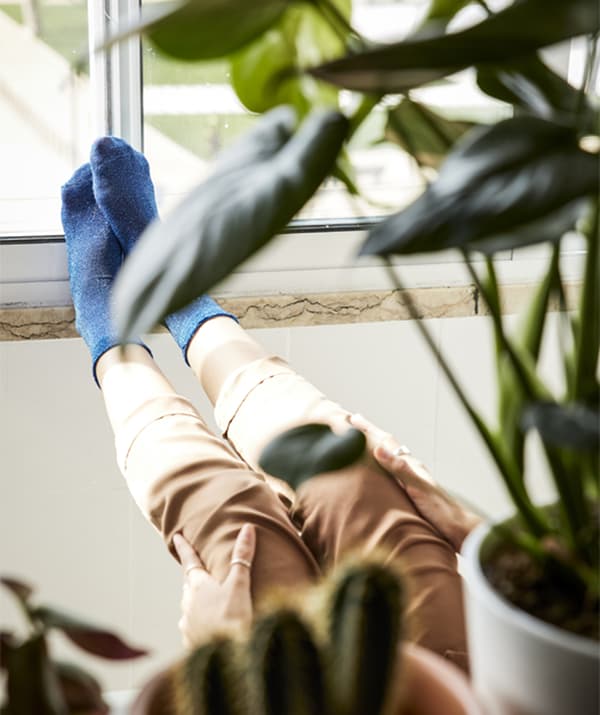 A woman’s feet up on the windowsill, viewed through pot plants.