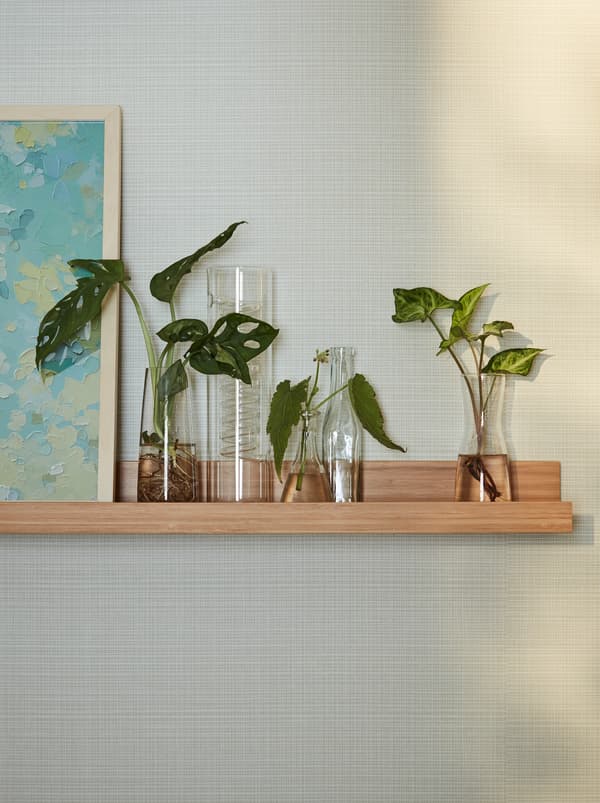 A wooden MÅLERÅS picture ledge on a wall with three contemporary vases and one IKEA PS candlestick vase with plantlets.