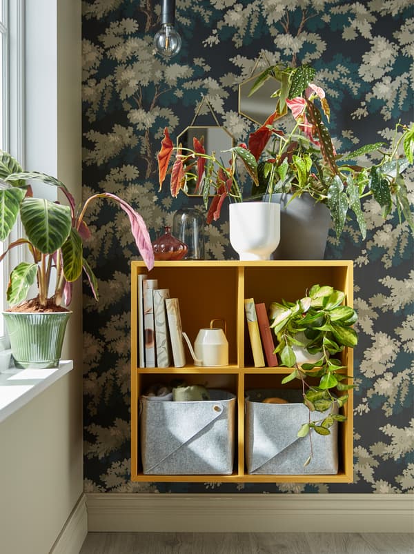 A yellow EKET shelf unit mounted on the wall next to a window with plants on top of it and inside it, together with books.