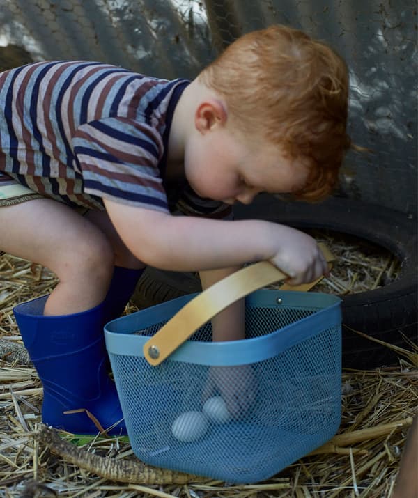A young child collecting fresh eggs in a blue basket.