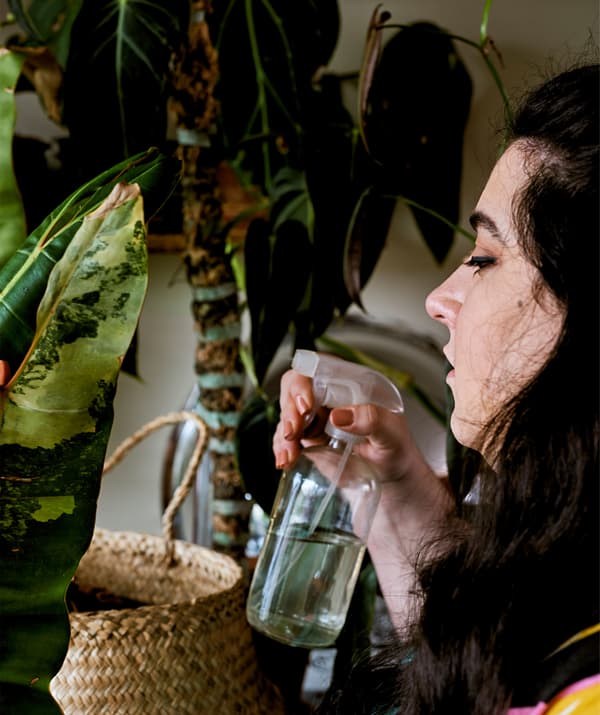 A young woman watering a plant with a spray bottle.