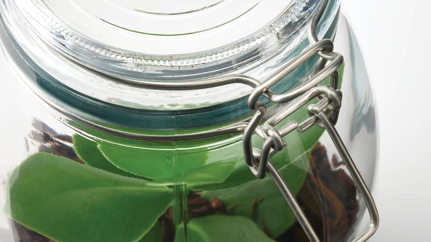 Learn how to make your own terrarium