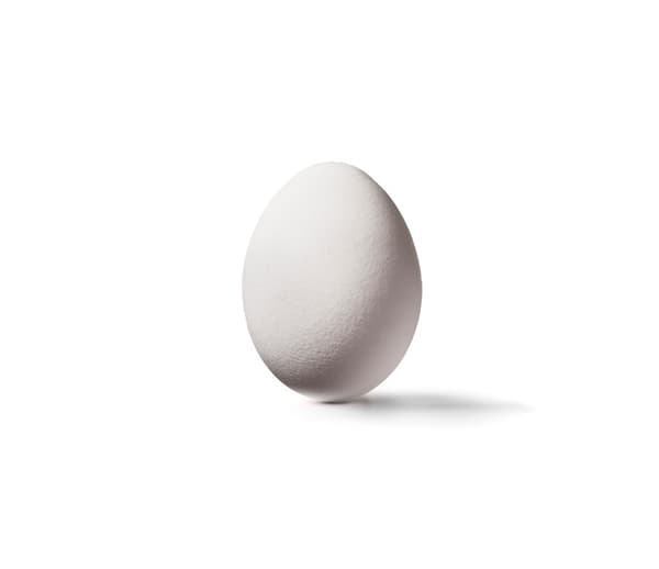 Ägg mot en vit bakgrund.