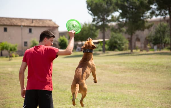 Alessandro and his dog playing with a frisbee in a park.