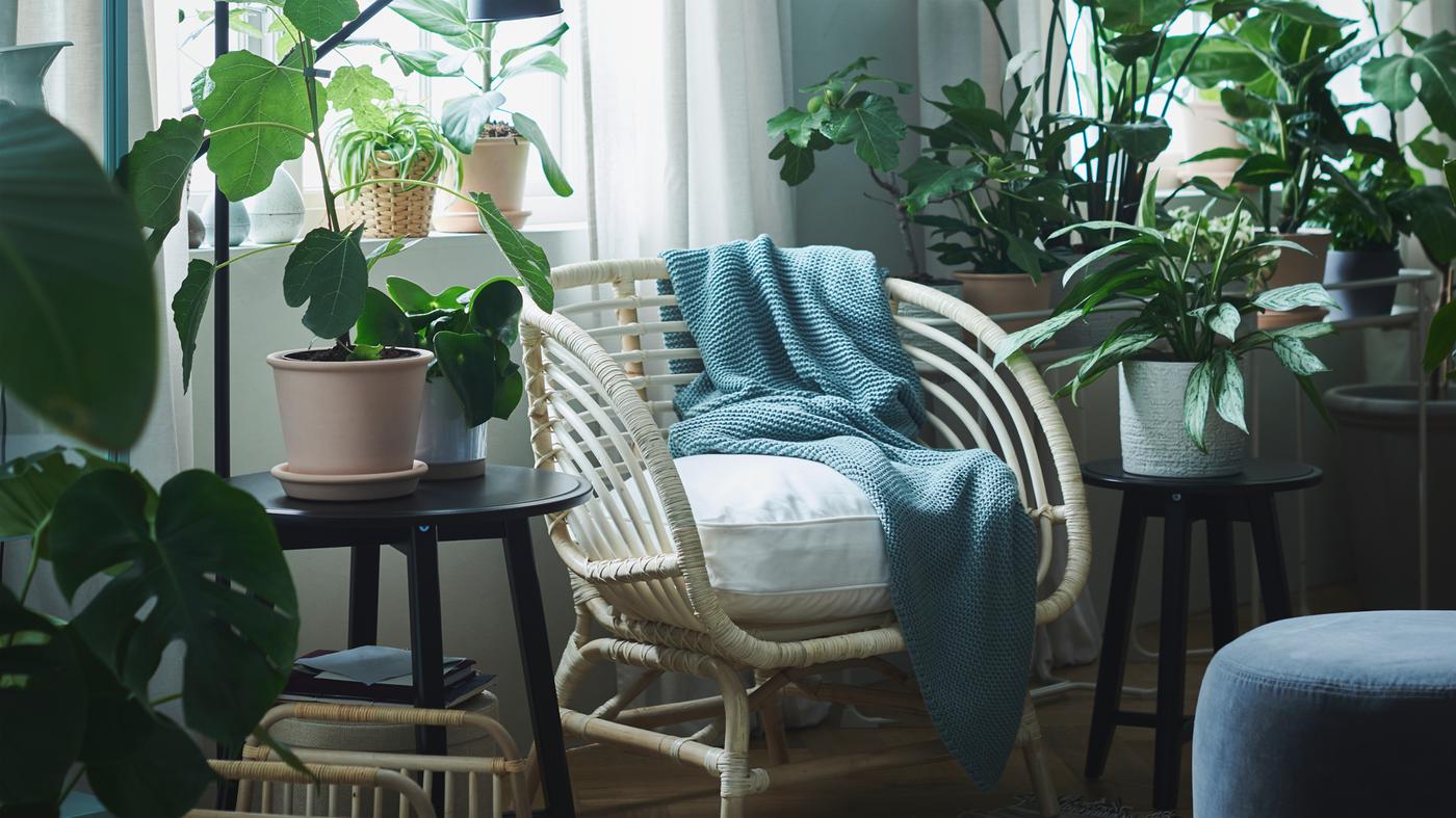 An area by a window becomes an oasis with plants in CHIAFRÖN and MUSKÖTBLOMMA pots, INGABRITTA throw and a rattan chair.