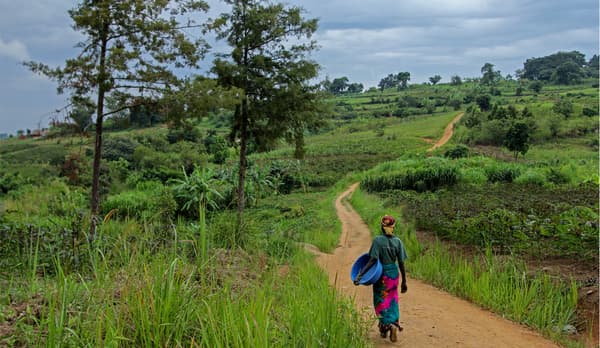 An image of a person walking on a path in the Ugandan countryside.