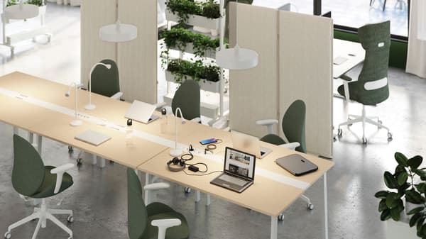 An office with birch desks and green chairs