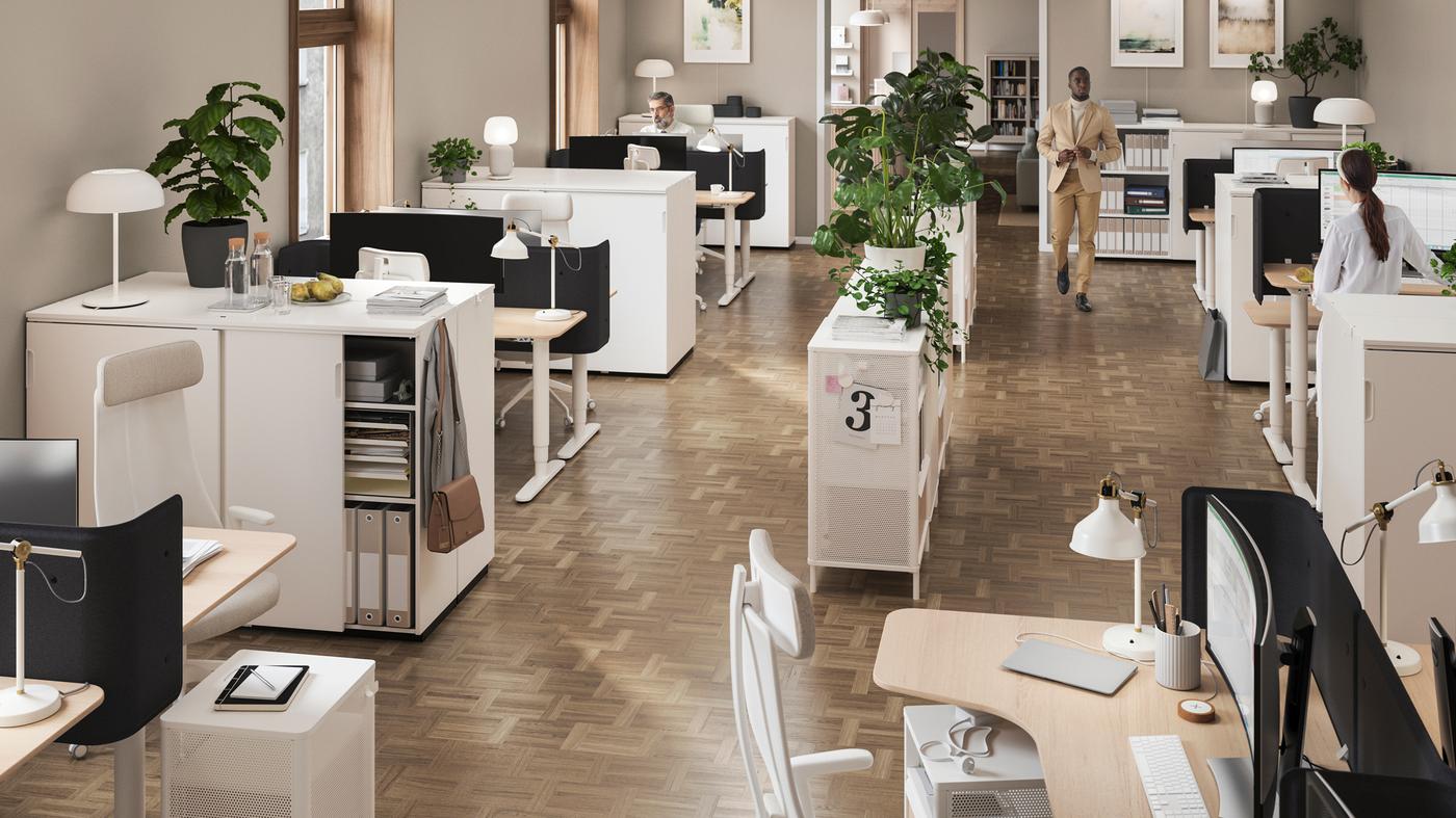 An open plan office with a central shelving unit decorated with plants, and workstations with lighting around the edge.