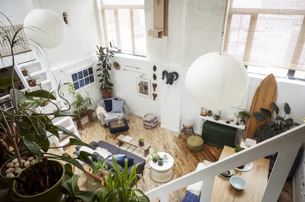 An overhead view of plants in an open-plan living space