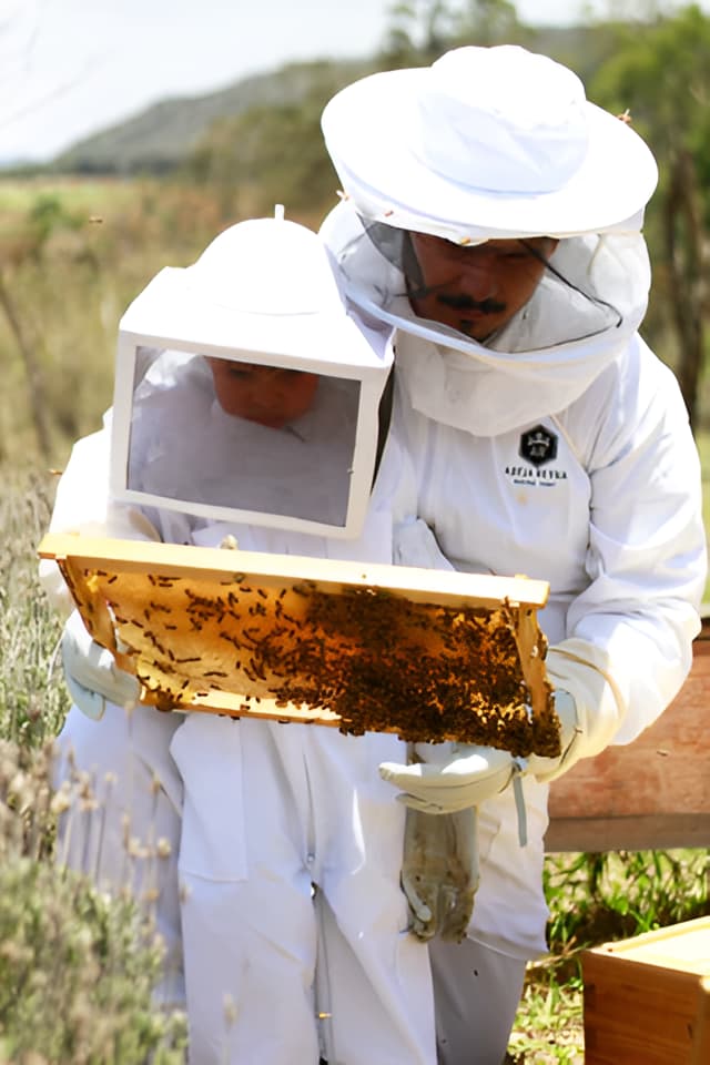 Apicultores
