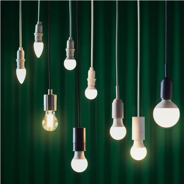 Assortment of hanging light bulbs illuminating a green backdrop. A mix of styles, shapes and energy-efficient lighting solutions.
