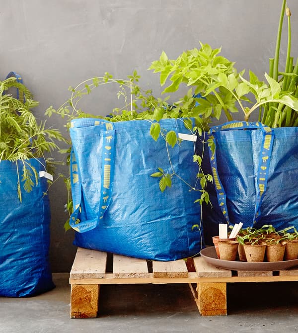 Blue FRAKTA sorting bags filled with plants, placed on a wooden pallet.